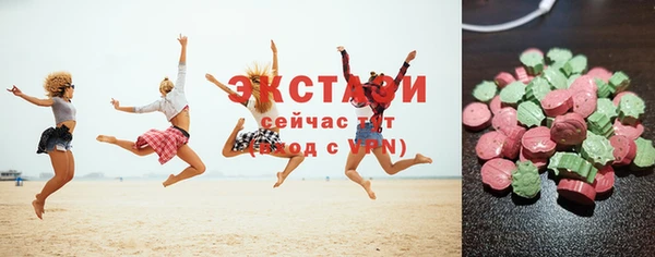 индика Медвежьегорск