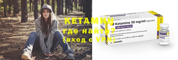 индика Медвежьегорск