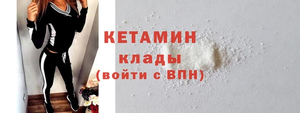 индика Медвежьегорск