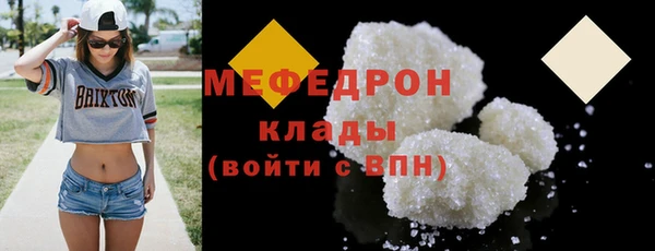 индика Медвежьегорск