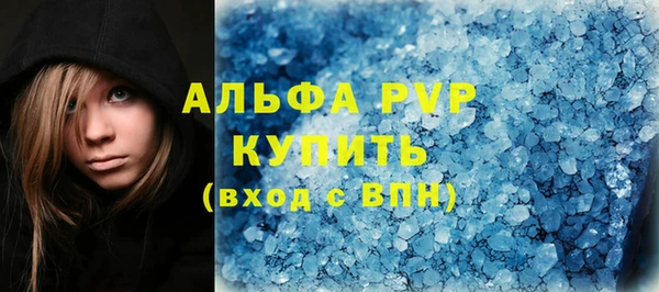 индика Медвежьегорск
