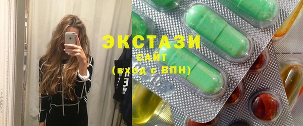 индика Медвежьегорск
