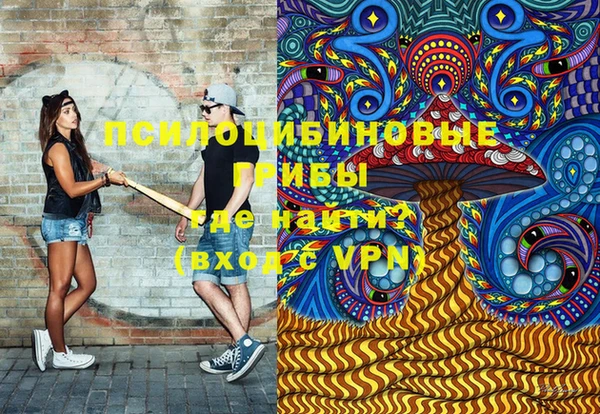 индика Медвежьегорск