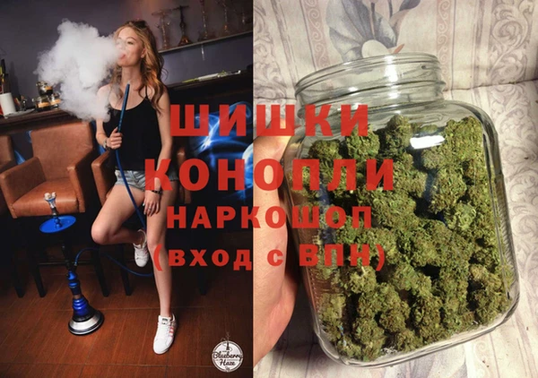 индика Медвежьегорск
