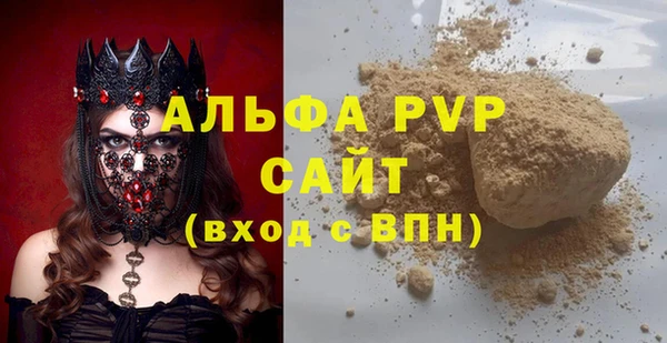 индика Медвежьегорск