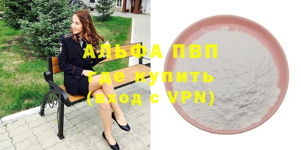 индика Медвежьегорск