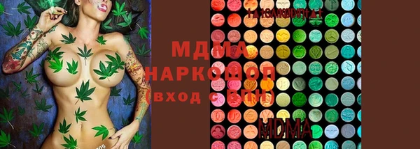 индика Медвежьегорск