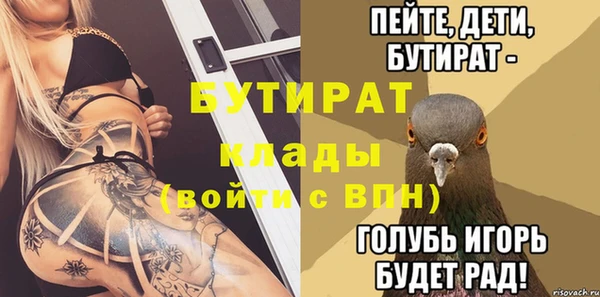 индика Медвежьегорск