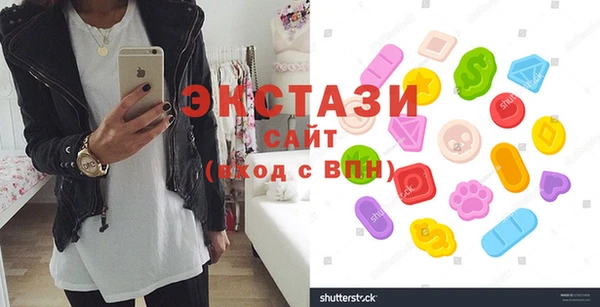 индика Медвежьегорск