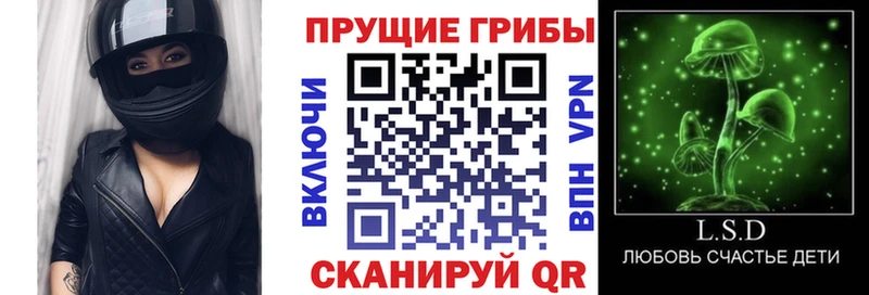 Галлюциногенные грибы прущие грибы  Павловская 