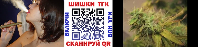 Канабис сатива Павловская